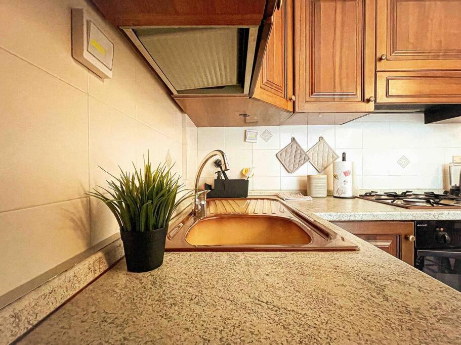 Papini'S Home: مونزا المظهر الخارجي الصورة